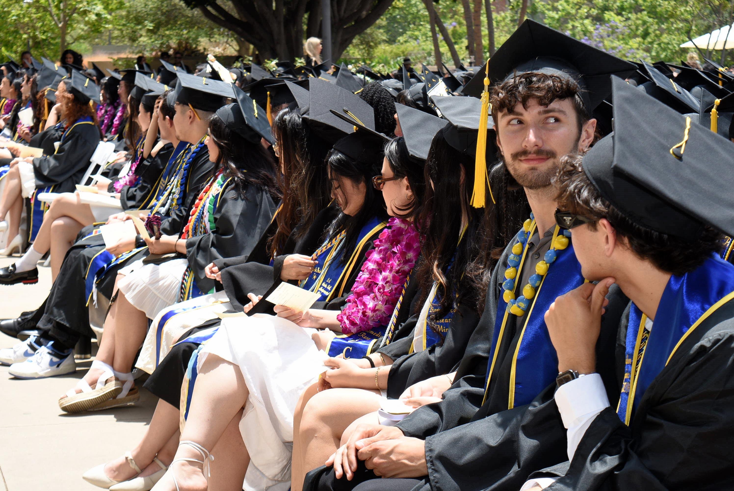A group of UCLA graduates in a blue and gold UCLA sash sitting with peers during a commencement ceremony.