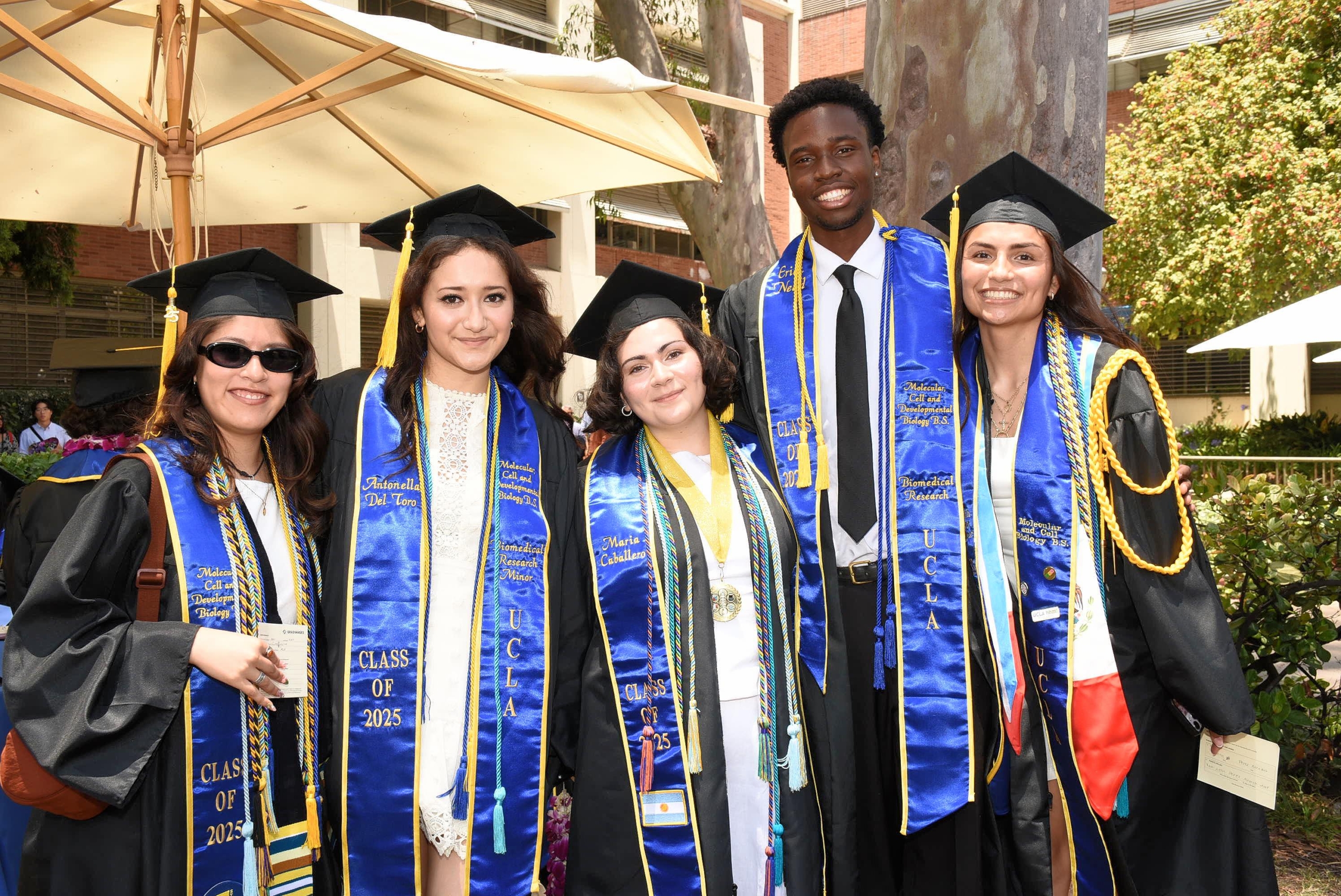 Five UCLA graduates in blue and gold sashes posing together at commencement.