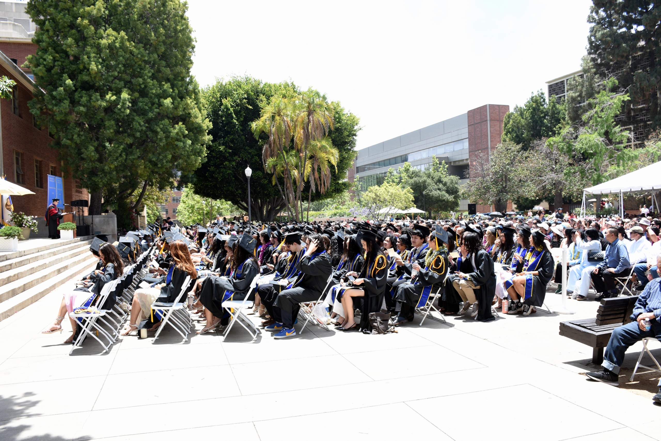 UCLA MCDB graduate students in academic regalia at an outdoor commencement ceremony.